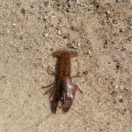 Appartement Martha - Ferienhaus, 3 Schlafzimmer, 2 Bis 6 Personen, S-bahn Nach Berlin, Strausseenaehe, Ruhige Lage