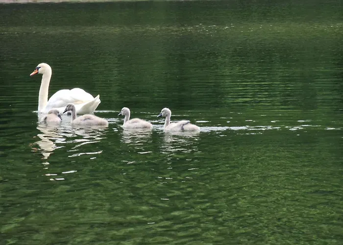 Martha - Ferienhaus, 3 Schlafzimmer, 2 Bis 6 Personen, S-bahn Nach Berlin, Strausseenaehe, Ruhige Lage Lejlighed *