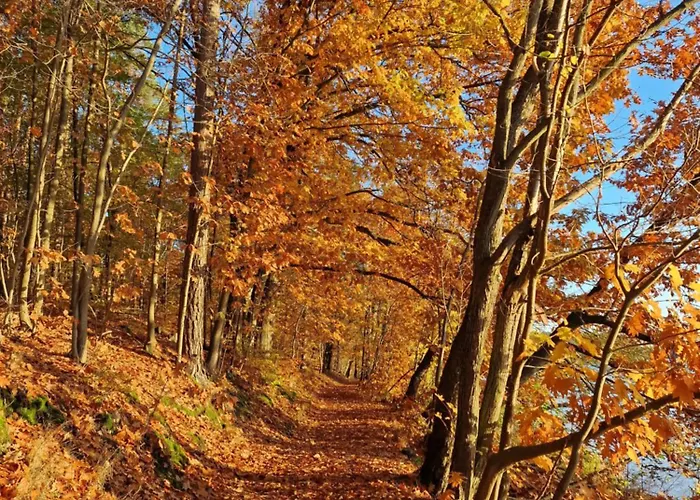 Martha - Ferienhaus, 3 Schlafzimmer, 2 Bis 6 Personen, S-bahn Nach Berlin, Strausseenaehe, Ruhige Lage