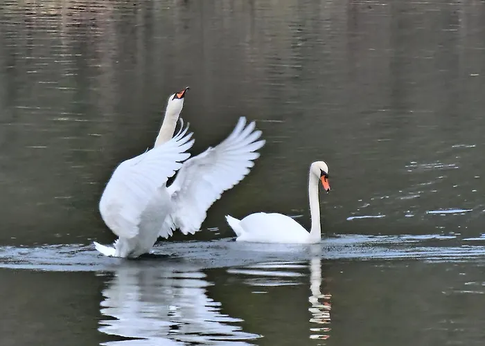 Lejlighed Martha - Ferienhaus, 3 Schlafzimmer, 2 Bis 6 Personen, S-bahn Nach Berlin, Strausseenaehe, Ruhige Lage
