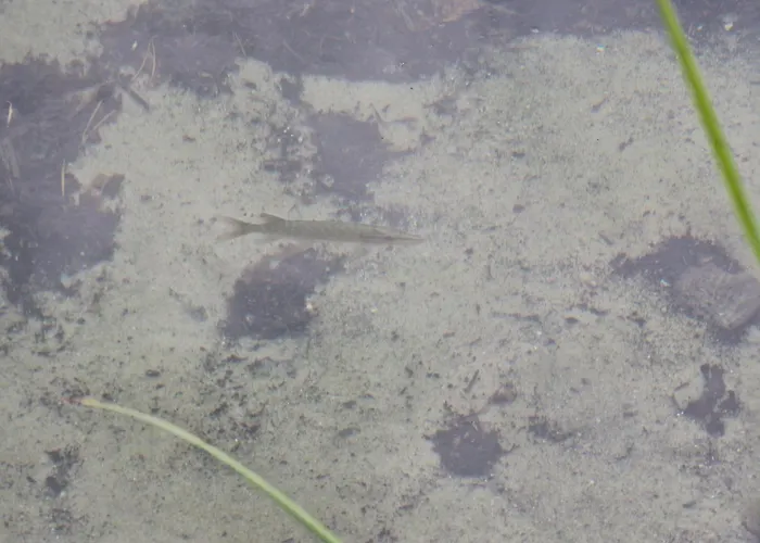 Lejlighed Martha - Ferienhaus, 3 Schlafzimmer, 2 Bis 6 Personen, S-bahn Nach Berlin, Strausseenaehe, Ruhige Lage *