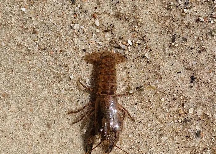 Lejlighed Martha - Ferienhaus, 3 Schlafzimmer, 2 Bis 6 Personen, S-bahn Nach Berlin, Strausseenaehe, Ruhige Lage